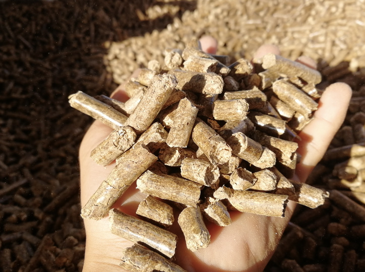 玉米秸稈代替花生秧做飼料，可行嗎
